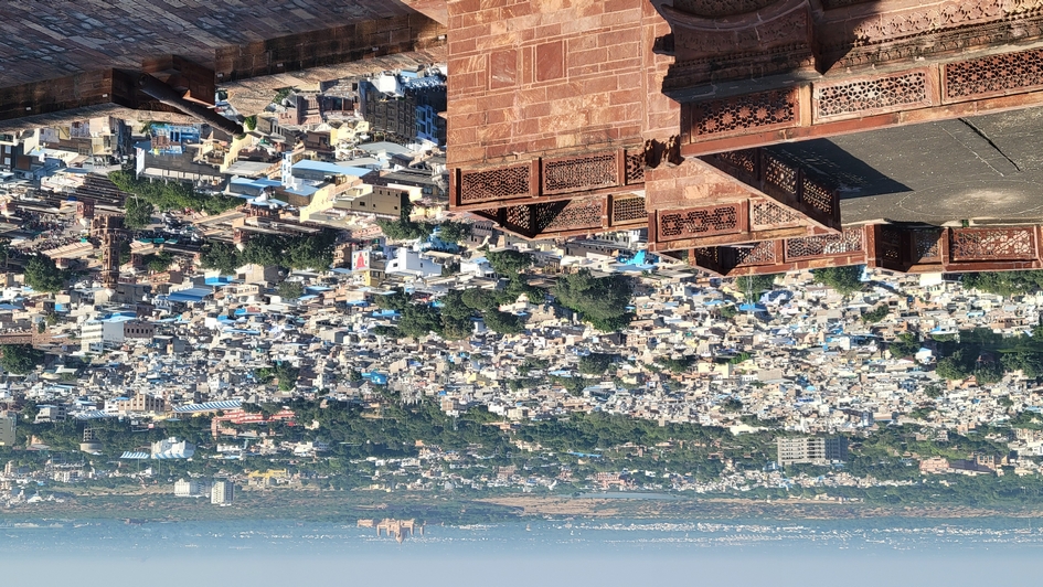 Indien_c  (111).jpg